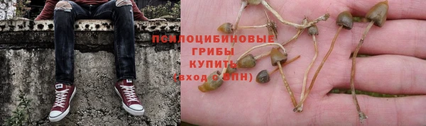 PSILOCYBIN Абинск