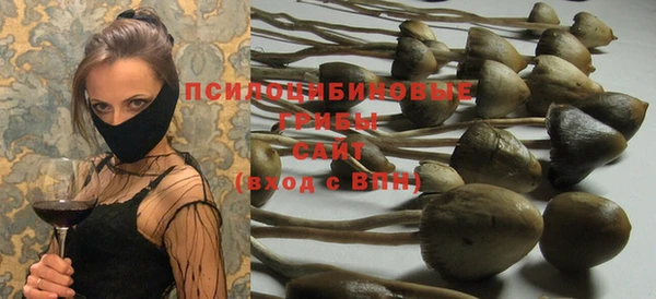 бошки Алексеевка