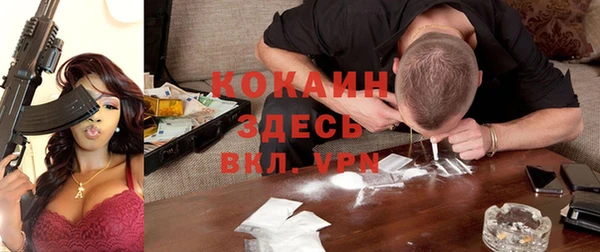 молекула духа Алексин