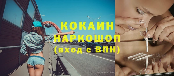 молекула духа Алексин
