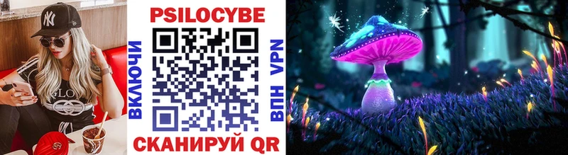 omg онион  Пошехонье  Галлюциногенные грибы Magic Shrooms 