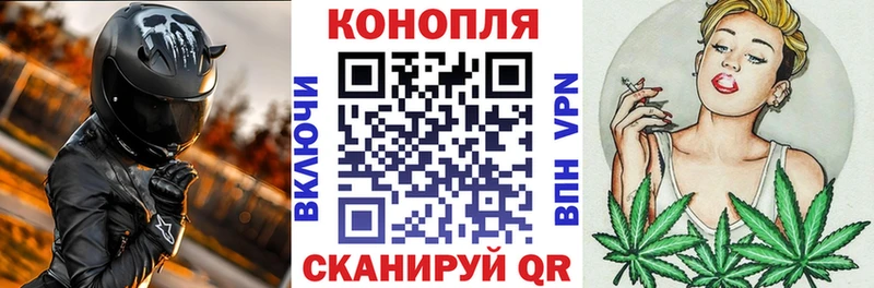 Бошки Шишки Bruce Banner  Пошехонье 
